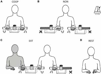 Movement predictability modulates sensorimotor processing